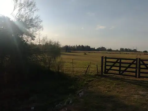 Lote de 10.000 metros en Chascomús