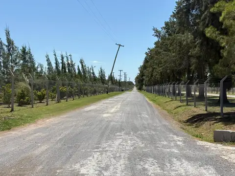 Terreno en Venta 50  mts Fondo