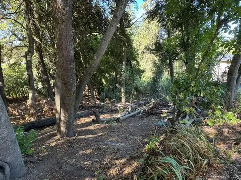 Terreno en Venta en Barrio Norte, USD 185.000