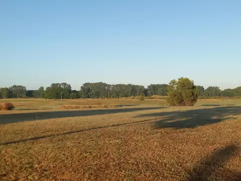 Casa 6 ambientes con 4 baños