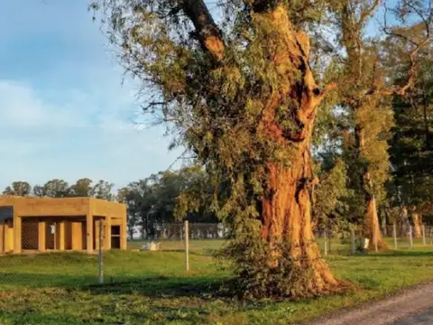 Terreno en Venta 50  mts Fondo
