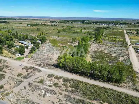VENTA CHACRA 20 HECTAREAS PROVINCIA NEUQUEN