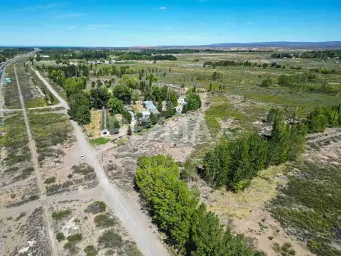 VENTA CHACRA 20 HECTAREAS PROVINCIA NEUQUEN