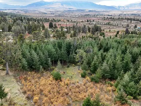 Paraíso patagónico a 5'  del centro Trevelin· 1 ha