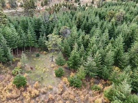 Paraíso patagónico a 5'  del centro Trevelin· 1 ha