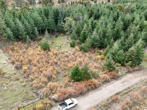 Paraíso patagónico a 5'  del centro Trevelin· 1 ha
