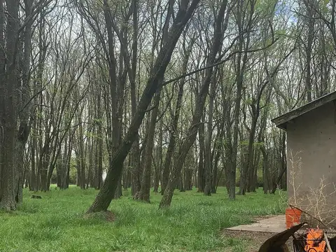 excelente lote en barrio cerrado la alameda, carmen de areco
