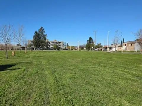 Ruta Pcial n° 21 y Lisandro de la Torre