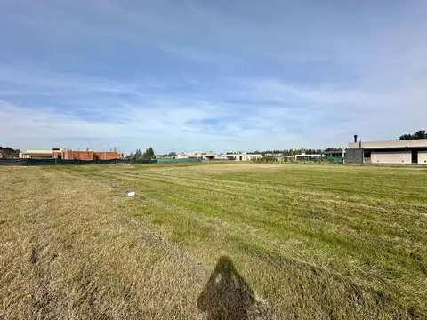 Mariano Castex  al 9200