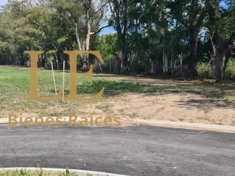 Pilar Del Este