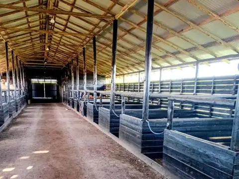 Galpon en Venta 2 años