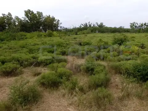 Autopista Lujan-junin