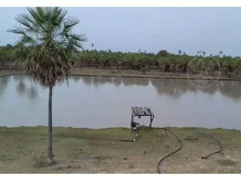 3124 has Ganaderas A explotar con todos los permisos para Inversor