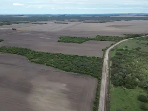 Campo agrícola en Ingeniero Chanourdie, Santa Fe