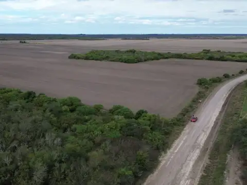 Campo agrícola en Ingeniero Chanourdie, Santa Fe