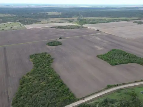 Campo agrícola en Ingeniero Chanourdie, Santa Fe