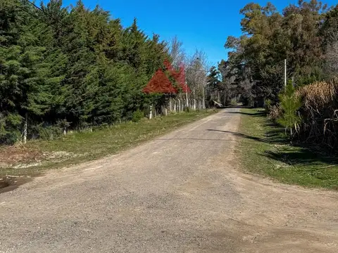 Terreno en Venta de 1503,0 m2