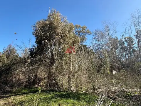 Terreno en Venta en Los Pinos, USD 32.000