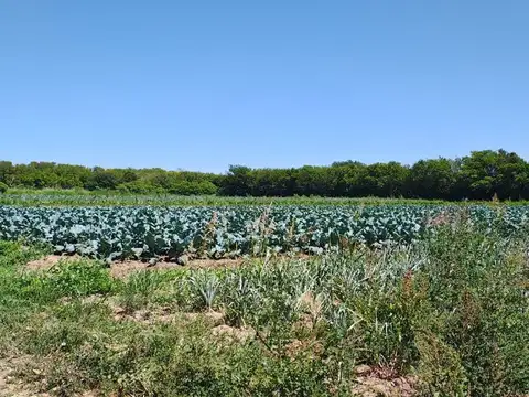 Venta campo 3 hectareas Villa Retiro