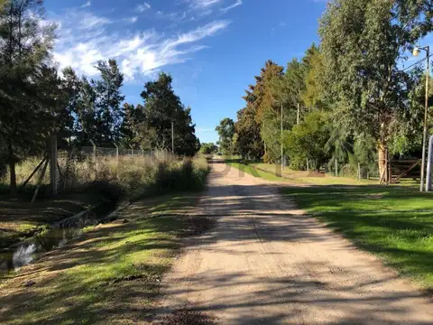 Quinta en Venta en Los Talas, USD 65.000