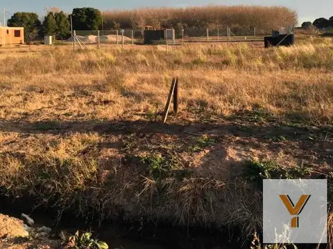 Terreno en venta - 238mts2  - Arana