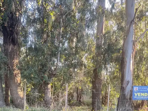 Lotes en la Elena Tandil