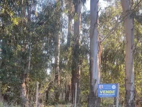 Terreno en Venta de 750,0 m2