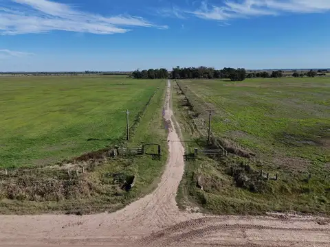 541 has mixtas 156 has agrícolas - Cayastacito - San Justo Santa Fe