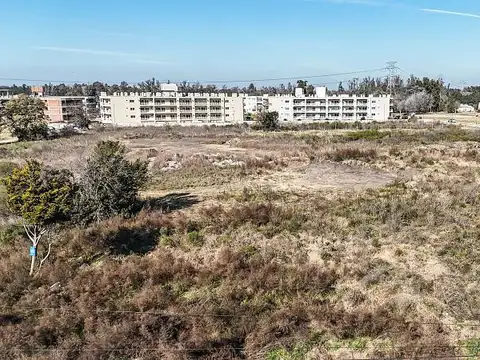 Terreno en Alquiler 62  mts Fondo