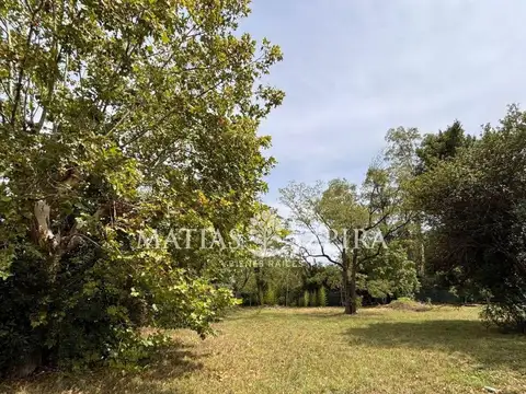 Lote . | Pio XII 3000