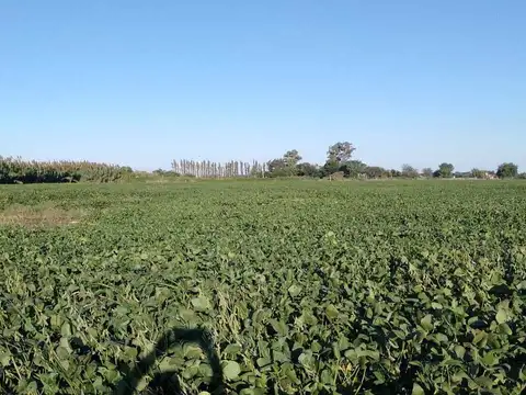 RUTA 100