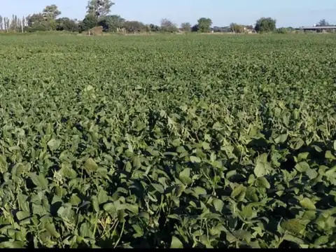 Campo - Venta - Argentina, Arroyo Aguiar - RUTA 100