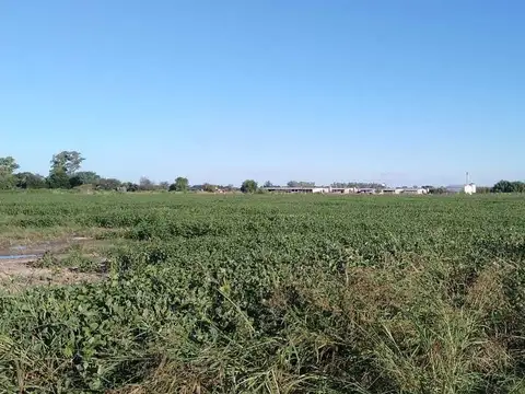 RUTA 100