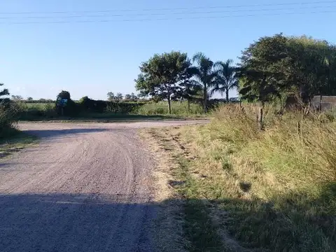 RUTA 100