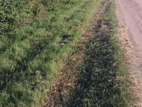 Campo - Venta - Argentina, Arroyo Aguiar - RUTA 100
