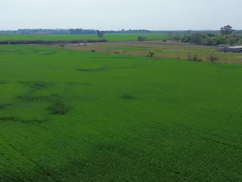 RUTA 100