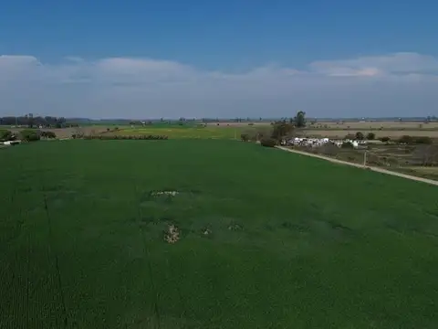 Campo - Venta - Argentina, Arroyo Aguiar - RUTA 100