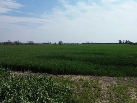 Campo - Venta - Argentina, Arroyo Aguiar - RUTA 100