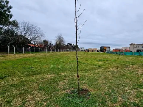 VENTA LOTE PILAR DEL ESTE SANTA LUCIA 