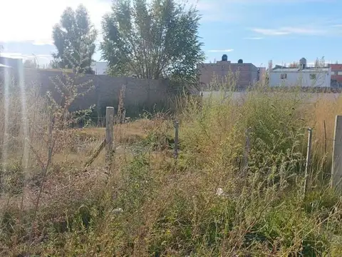 Terreno en Venta en General Roca, USD 24.000