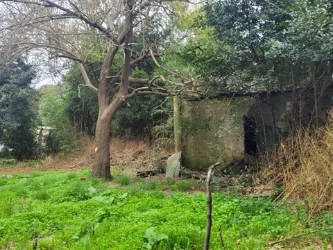 Terreno - venta - argentina, villa elisa - calle 422 esquina 29 001