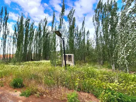 Terreno en Venta 31  mts Fondo