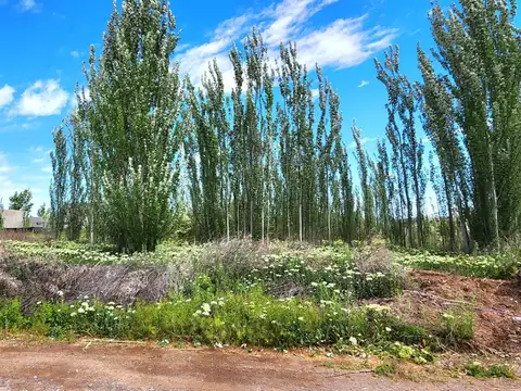 VENTA LOTE BARRIO CERRADO VERGEL