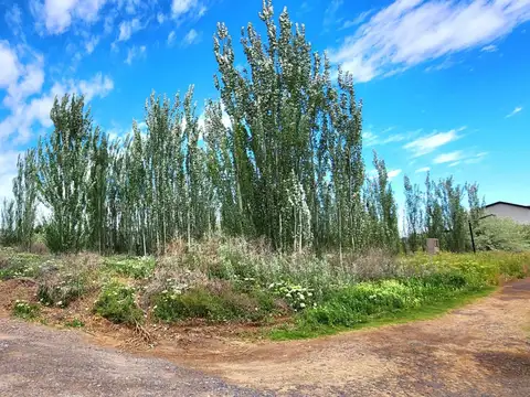 Terreno en Venta 34  mts Frente