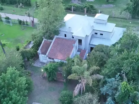 Vicente Constantino 1500