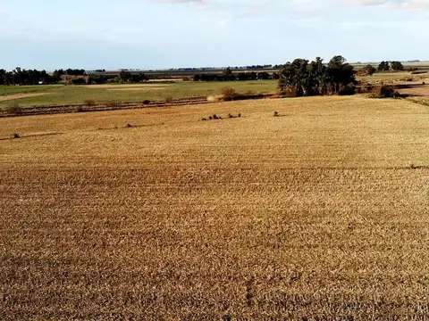 Campo venta en Las Flores. buenos aires