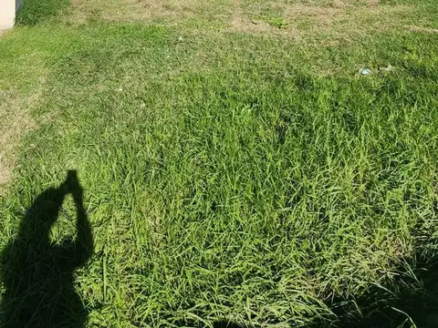 Juan Domingo Peron  al 1200