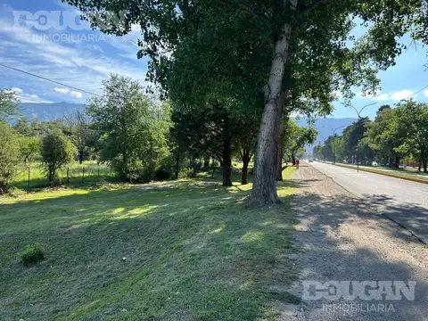 Terreno en Venta 45  mts Fondo