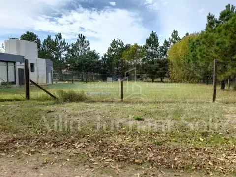 Terreno en Venta 40  mts Fondo