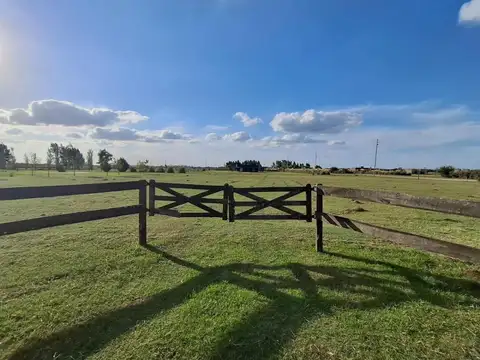 Terreno en Venta en Cañuelas, USD 29.500